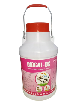 Picture of Calcium Supplement 96